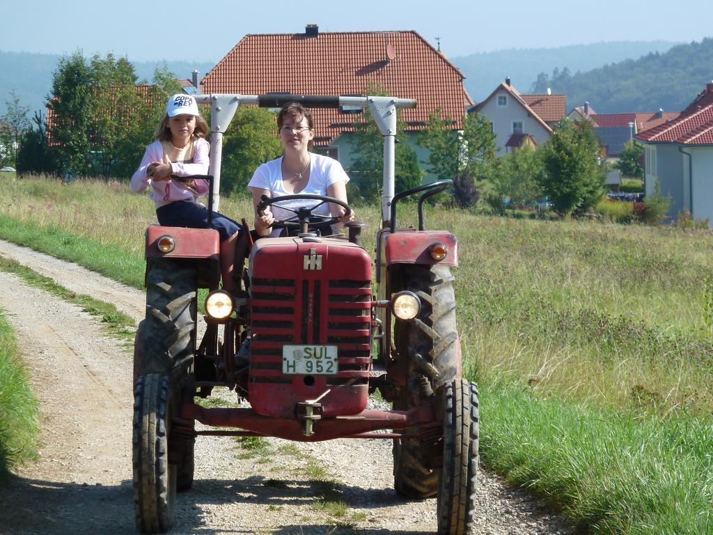 Landgasthof Zum Elsabauern Königstein in der Oberpfalz Buitenkant foto